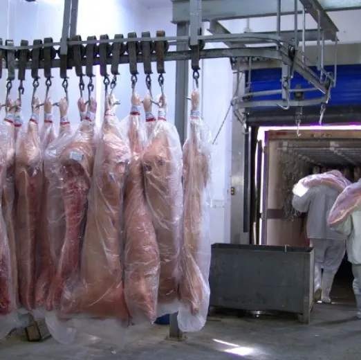 Exporta��es de carne su�na do Brasil batem recorde hist�rico em mar�o