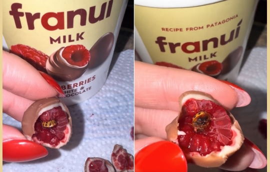 Professora encontra inseto dentro de doce de framboesa com chocolate
