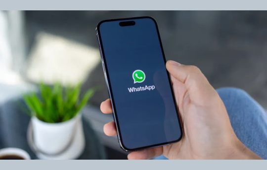 WhatsApp agora ter� nome de usu�rio; veja como garantir o seu