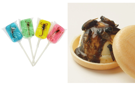 Comeria insetos? Conhe�a sobremesas feitas com grilos, formigas e at� baratas
