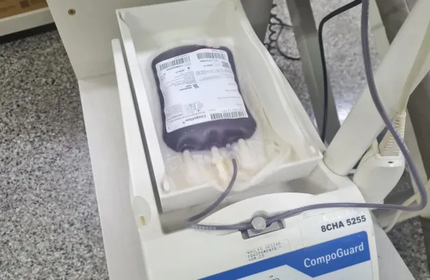 MT Hemocentro divulga o calend�rio de coletas para fevereiro