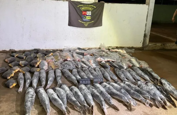 Batalh�o Ambiental da PM prende homem com mais de 340 quilos de pescado ilegal em Cuiab�