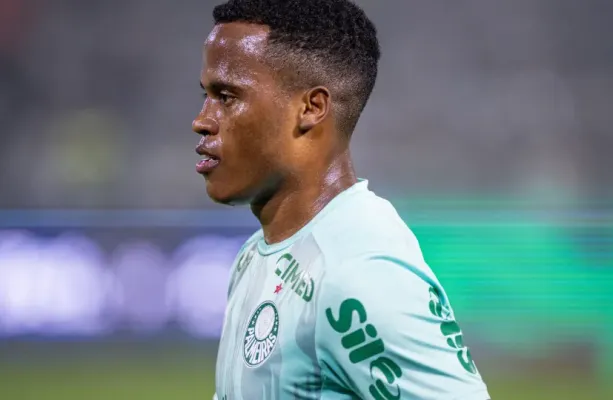 Palmeiras derrota Fluminense e mant�m lideran�a do Brasileiro