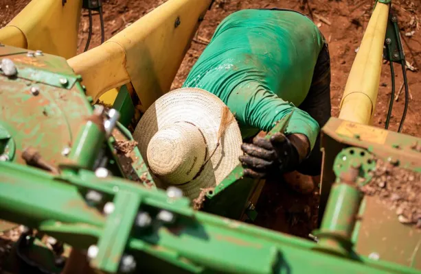 Mato Grosso abre 2026 com saldo de 18,7 mil novos empregos com carteira assinada em janeiro