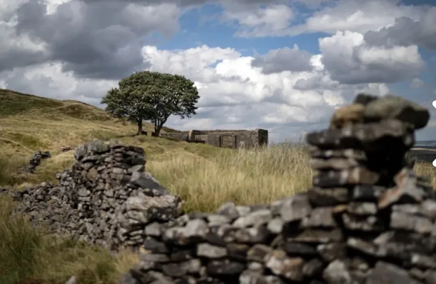 Como 'O Morro dos Ventos Uivantes' se tornou um fen�meno cultural
