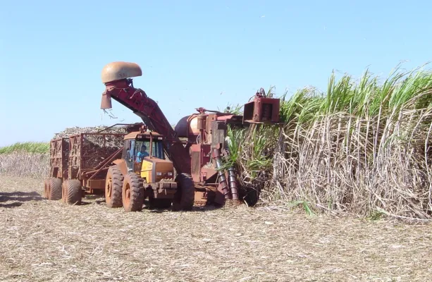 Produ��o de cana recua, mas etanol atinge e a��car se mant�m em alta