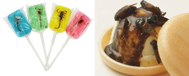 Comeria insetos? Conhe�a sobremesas feitas com grilos, formigas e at� baratas