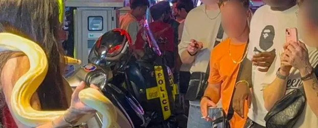 Militares americanos s�o recebidos em Pattaya com cobra gigante e alerta de DST
