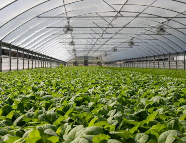 Cr�dito Rural 2026/2027: linhas de financiamento dispon�veis para o produtor