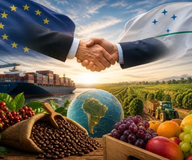 Acordo Mercosul-UE entra em vigor e abre mercado para agro brasileiro, com desafios distintos para caf� e frutas