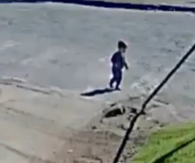 Beb� foge de creche e chega sozinho no trabalho da m�e