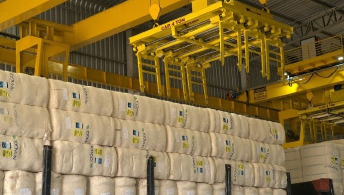 Brasil deve superar EUA como maior exportador de algodo em 2023/24, afirma StoneX