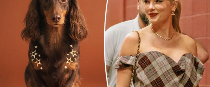 As sardas brilhantes da Taylor Swift agora t�m vers�o para cachorros