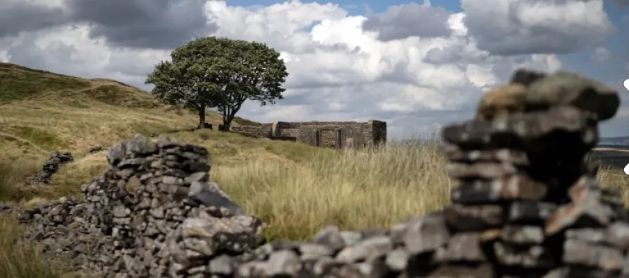 Como 'O Morro dos Ventos Uivantes' se tornou um fen�meno cultural