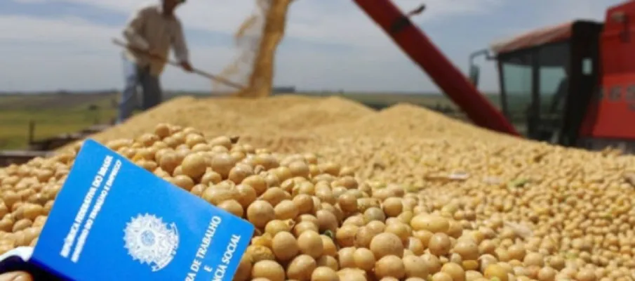 Fim da escala 6�1 acende alerta no agro para alta de custos e impacto nos alimentos