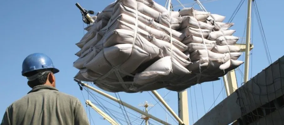 Agro brasileiro amplia exporta��es de carnes, frutas e insumos