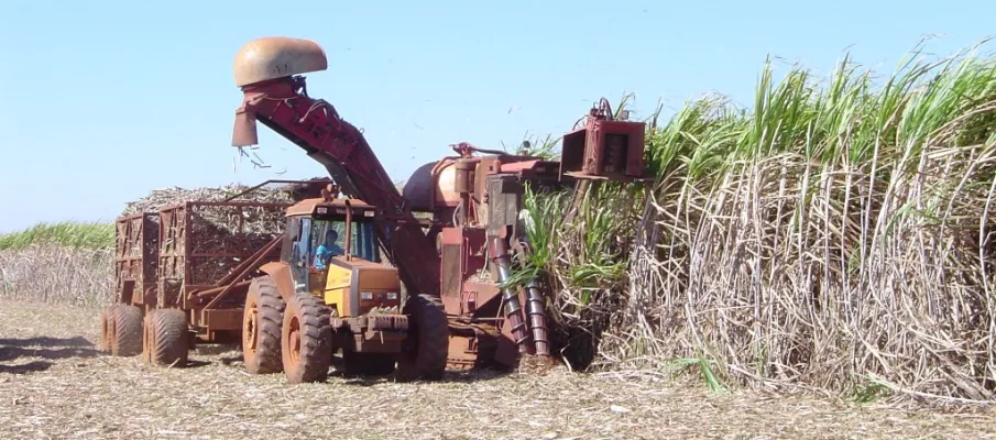 Produ��o de cana recua, mas etanol atinge e a��car se mant�m em alta