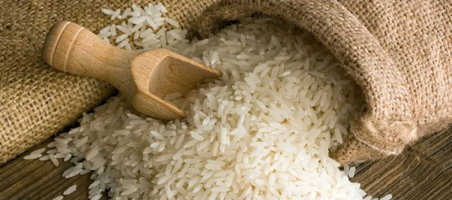 Mercado de arroz segue travado em abril, com pre�os firmes e baixa liquidez no Brasil