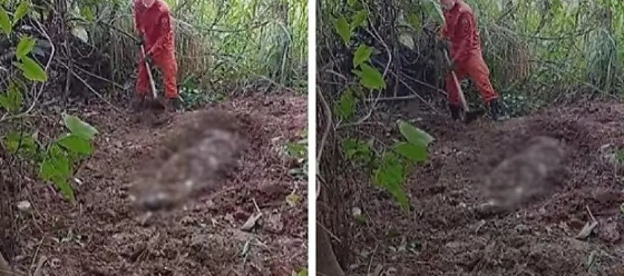 Pescador encontra corpo decaptado enquanto procurava minhocas em MT
