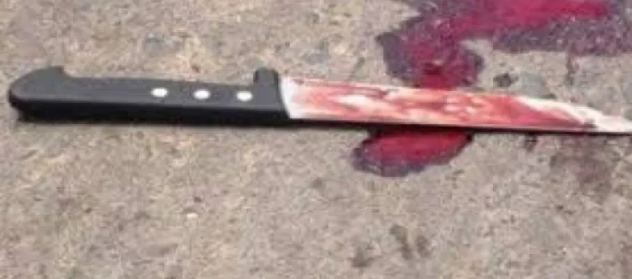 Criminosos invadem casa e matam mulher com facadas no pesco�o