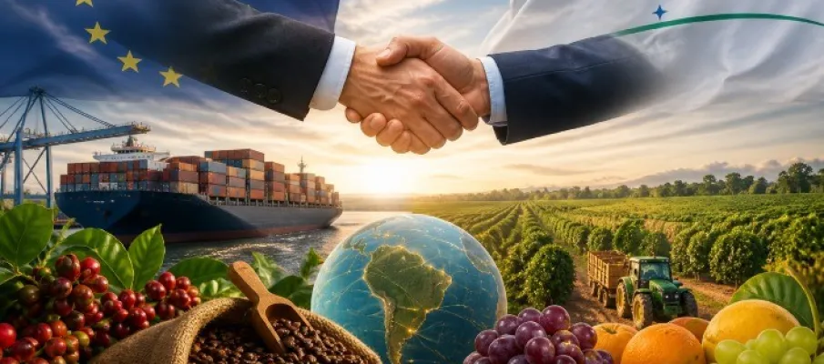 Acordo Mercosul-UE entra em vigor e abre mercado para agro brasileiro, com desafios distintos para caf� e frutas