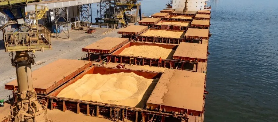 Exporta��es brasileiras de soja disparam em 2026 e ANEC projeta embarques acima de 108 milh�es de toneladas
