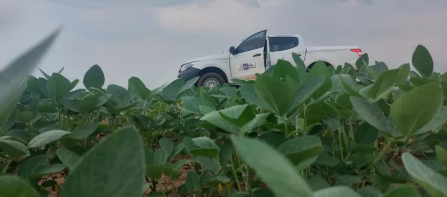 Vazio sanit�rio da soja j� est� em vig�ncia em Mato Grosso