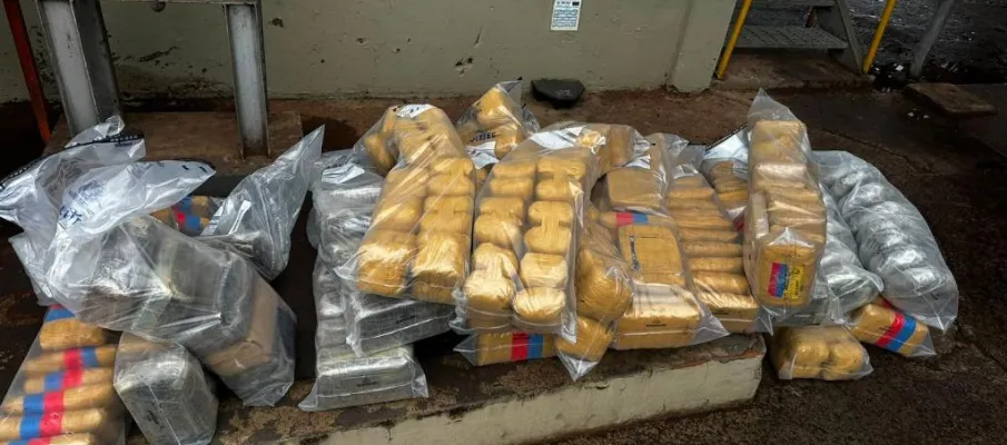 Pol�cia Civil incinera 400 quilos de entorpecentes apreendidos na regi�o de Alto Gar�as