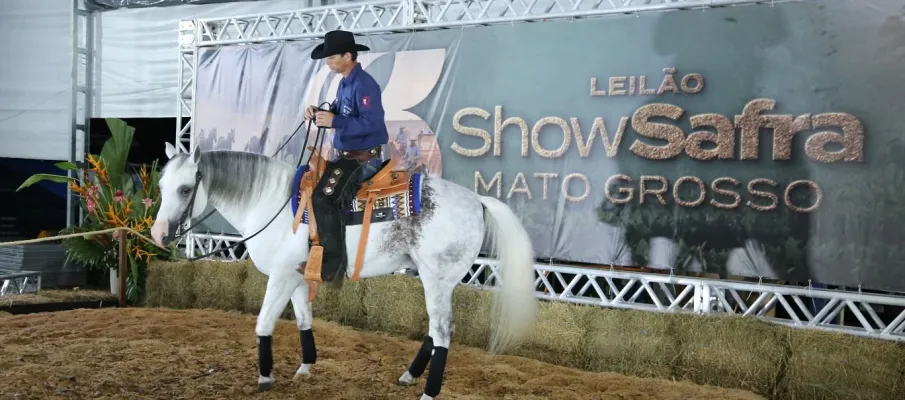 Leil�es, gen�tica e inova��o fazem do Show Safra Pecu�ria um polo de neg�cios