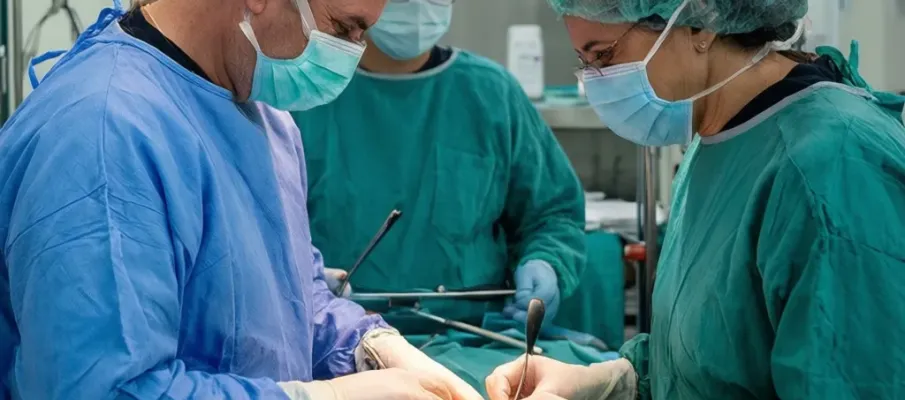 Estado faz 11� coleta de �rg�os no ano e salva at� cinco vidas em a��o pioneira