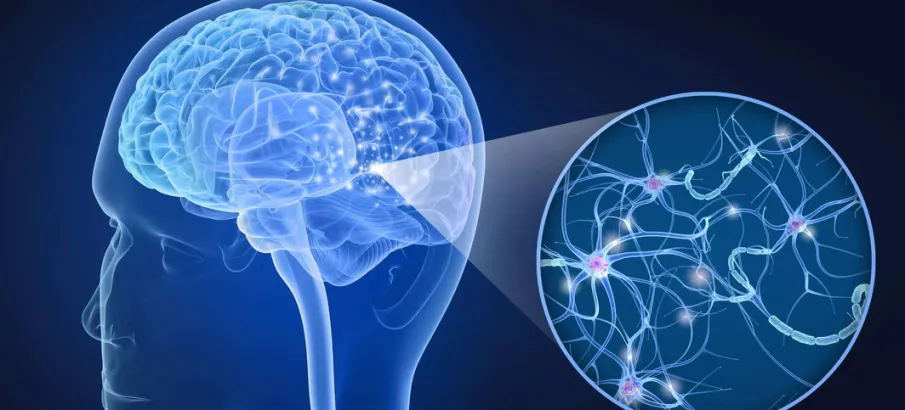Esclerose m�ltipla: condi��o complexa para m�dicos e pacientes afeta milhares de pessoas no pa�s