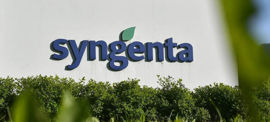 Syngenta se une a empresa holandesa para criar novo neg�cio de flores