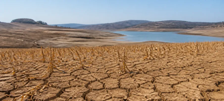 Seca cresce no Brasil e no mundo e vira tema principal da COP17