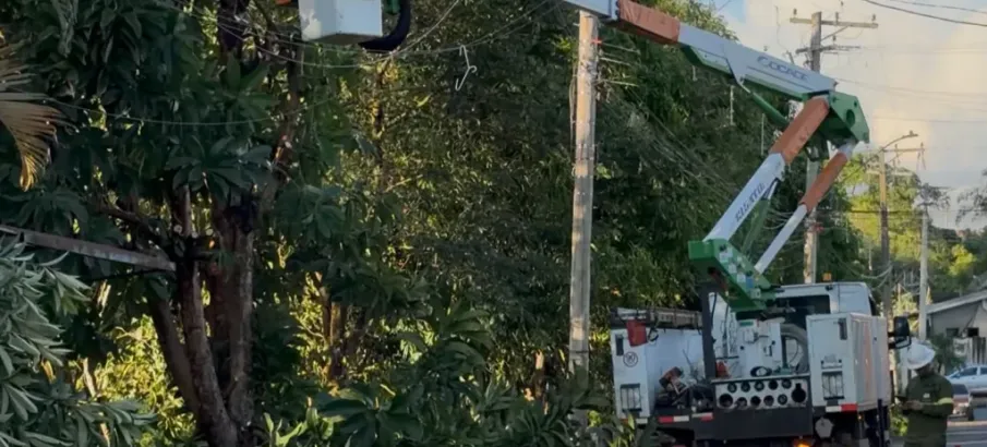 Vento de 75 km/h derruba �rvores e deixa bairros de Estiva Gerbi sem luz