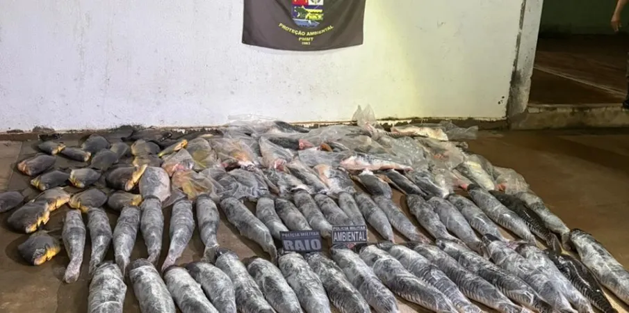 Batalh�o Ambiental da PM prende homem com mais de 340 quilos de pescado ilegal em Cuiab�
