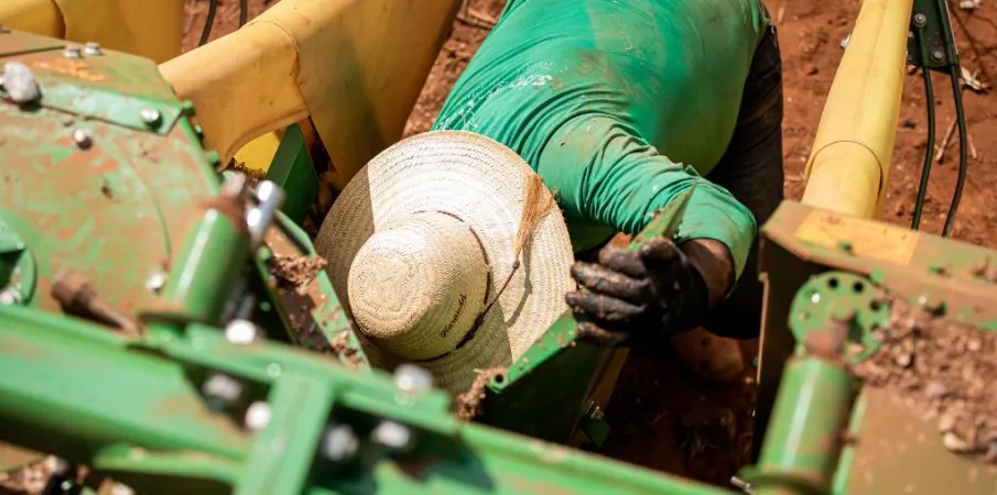 Mato Grosso abre 2026 com saldo de 18,7 mil novos empregos com carteira assinada em janeiro