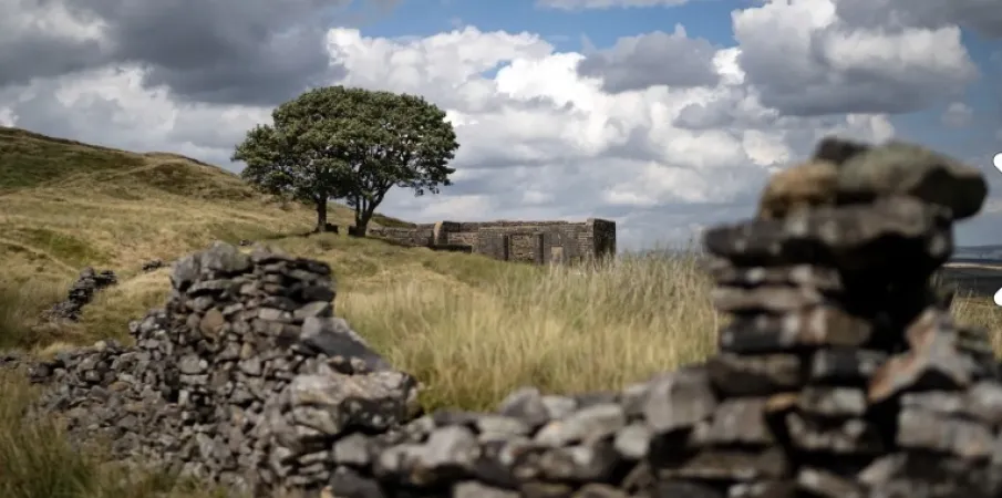Como 'O Morro dos Ventos Uivantes' se tornou um fen�meno cultural