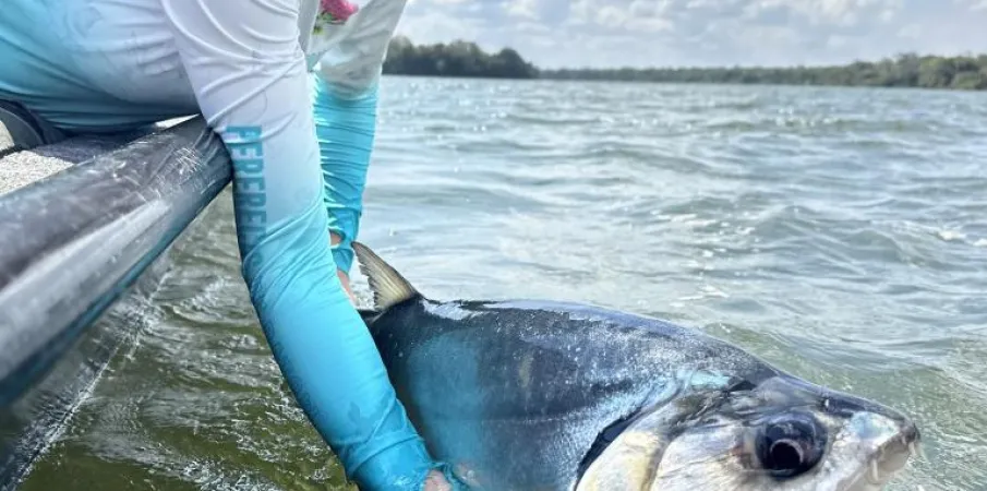 Empres�rios relatam mais turistas e alta no faturamento ap�s dois anos do Transporte Zero