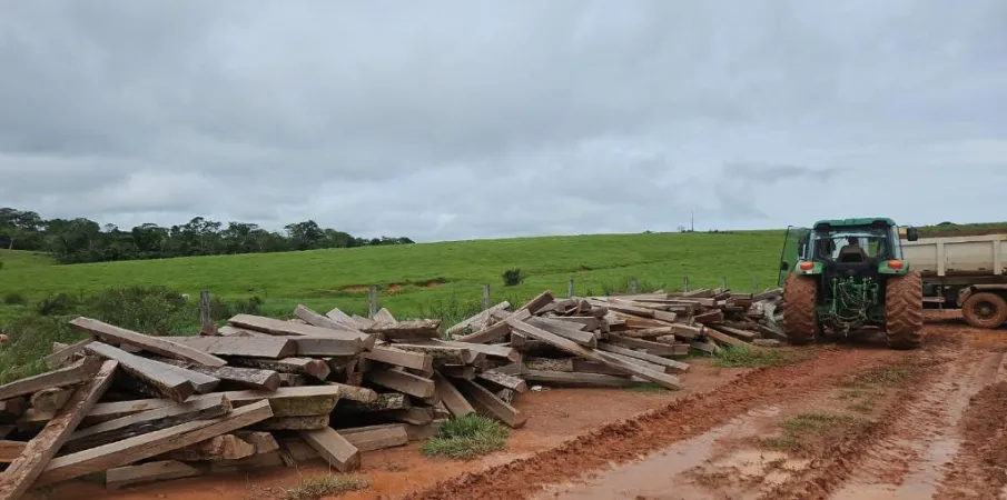 Unidade Desconcentrada da Sema de Alta Floresta apreende 1,5 mil lascas de ita�ba sem licen�a ambiental em Nova Monte Verde