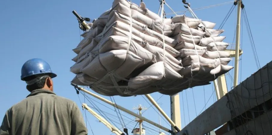 Agro brasileiro amplia exporta��es de carnes, frutas e insumos