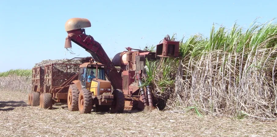 Produ��o de cana recua, mas etanol atinge e a��car se mant�m em alta
