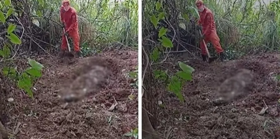 Pescador encontra corpo decaptado enquanto procurava minhocas em MT