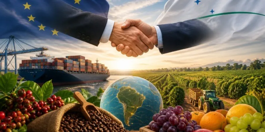 Acordo Mercosul-UE entra em vigor e abre mercado para agro brasileiro, com desafios distintos para caf� e frutas