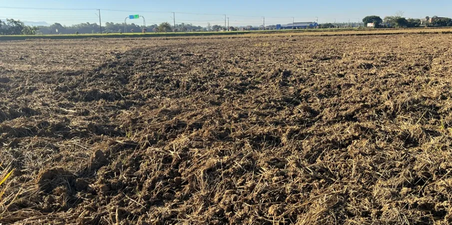 Santa Catarina se prepara para a pr�xima safra de arroz com cuidado especial no solo