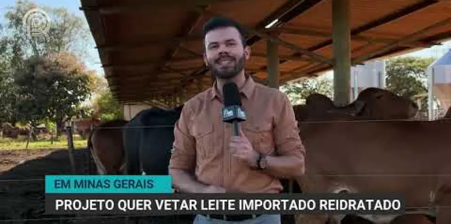 Assembleia de Minas pro�be uso de leite em p� importado como leite l�quido