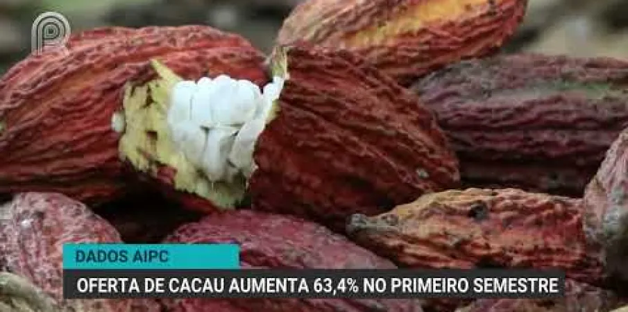 Recebimento de cacau cresce 63,4% no primeiro semestre