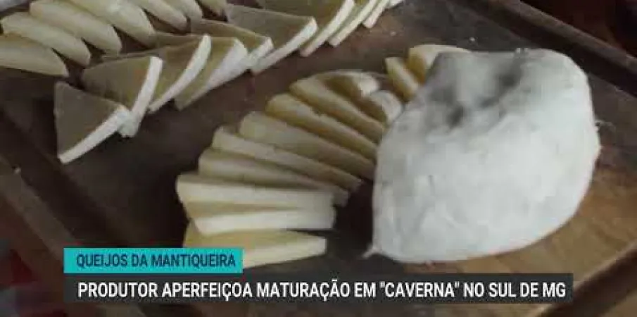Produtor de Minas Gerais cria caverna para maturar queijos