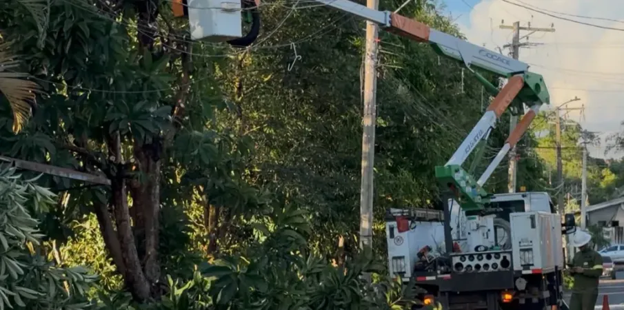 Vento de 75 km/h derruba �rvores e deixa bairros de Estiva Gerbi sem luz